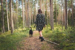 Wandelroutes in Zutphen