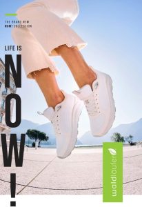 Bedrijven in Zutphen